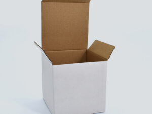 Caja Carton Individual PU