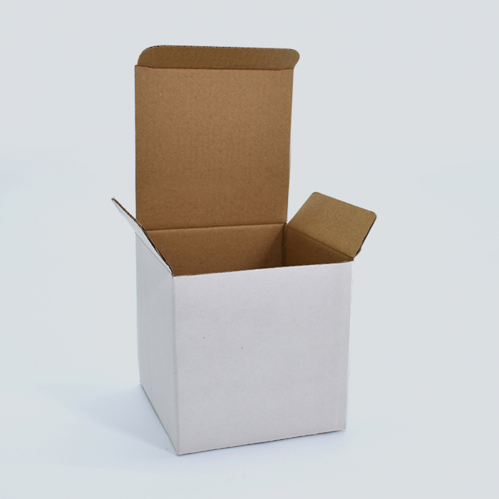 Caja Carton Individual PU